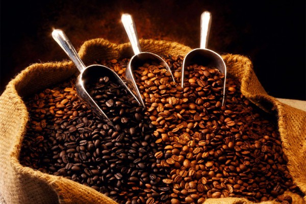 Quy trình sản xuất cà phê hạt đạt chuẩn